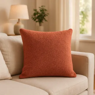 Decorative Cushion Throw Pillow
