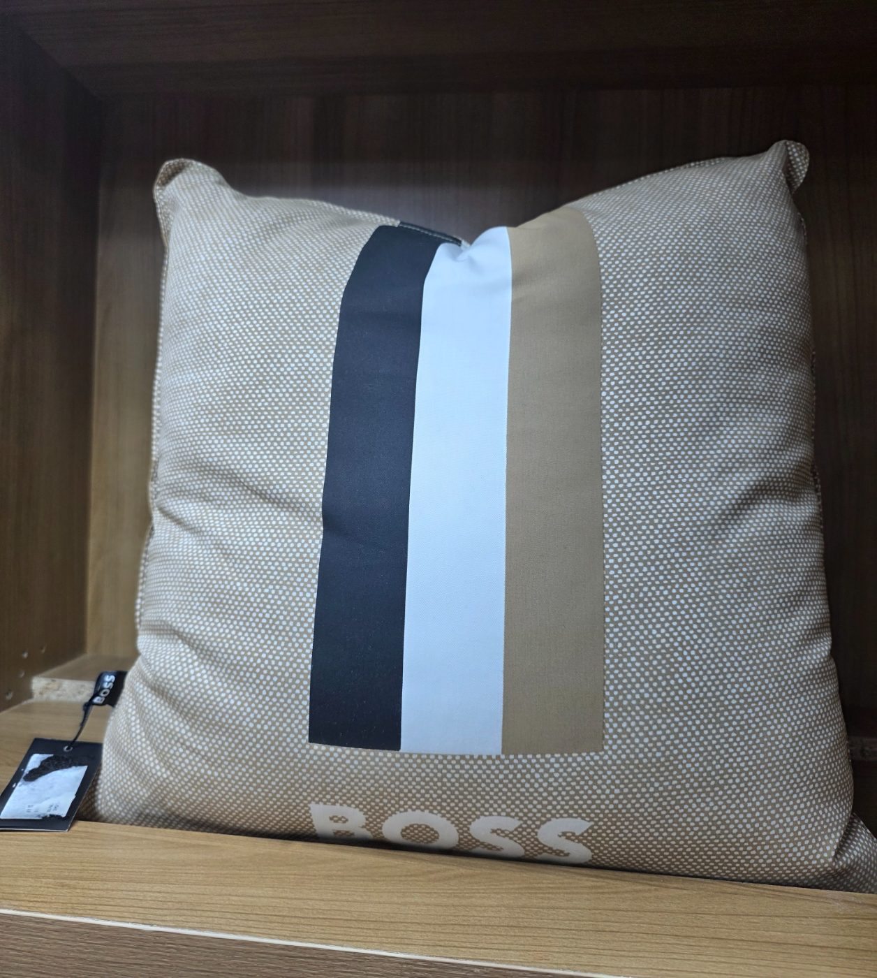 BOSS Home Blinea Cushion Throw Pillow